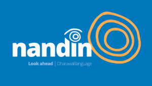 Nandin Logo